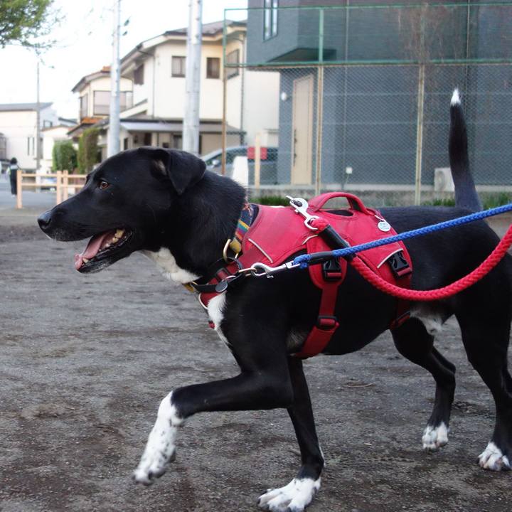 F1b7a93d 4a3d 45ae 8cd6 3681c0c56422 1587464172297