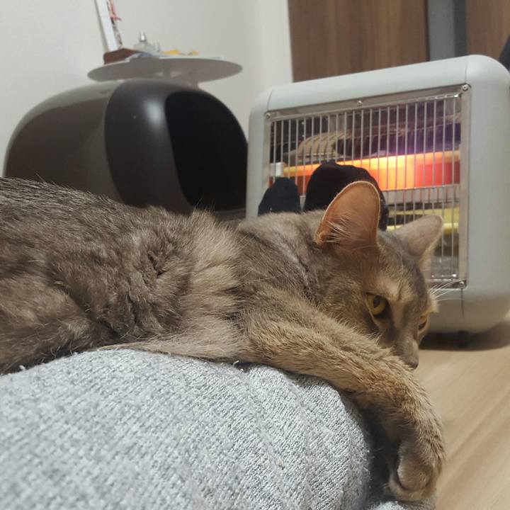 F1b7bfa1 3935 47cd b405 3e59cf41b2f5 1517490846085