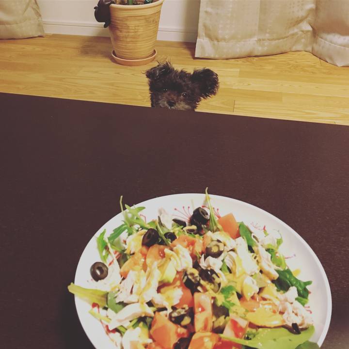 F1b7edac 3596 40ca 9957 7325623ac818 1514367817150