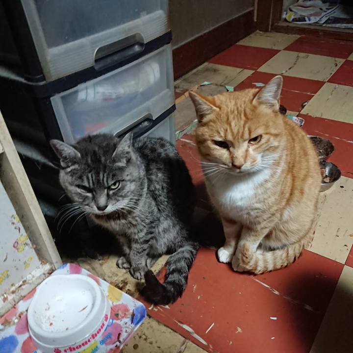 F1b7fed6 4a60 4b13 b74b 523c4faa55cd 1576959386343