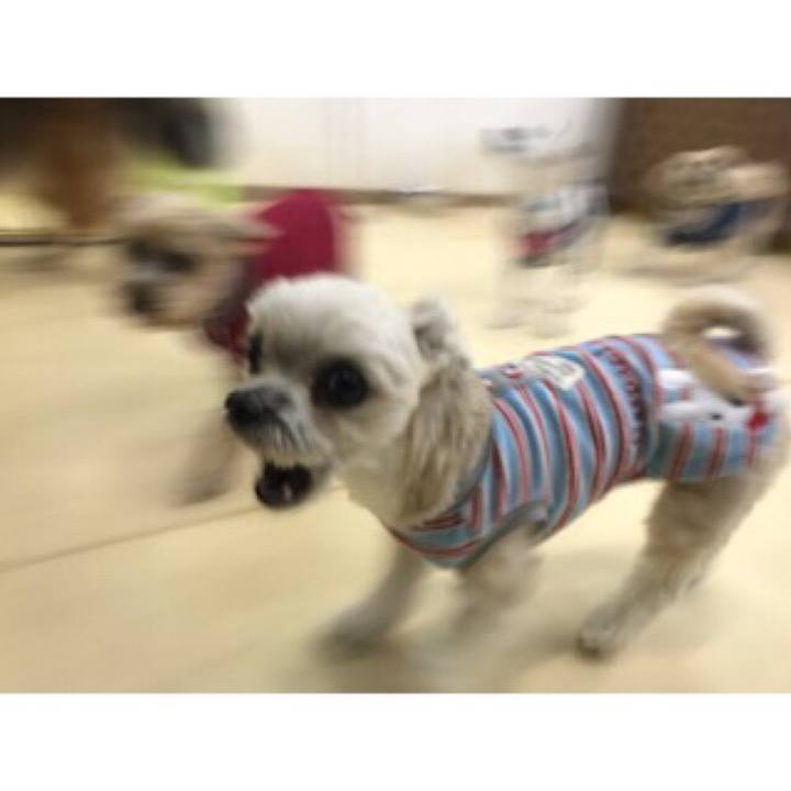 F1b80954 c211 40cc afd6 0a05668fca1e 1550226456950