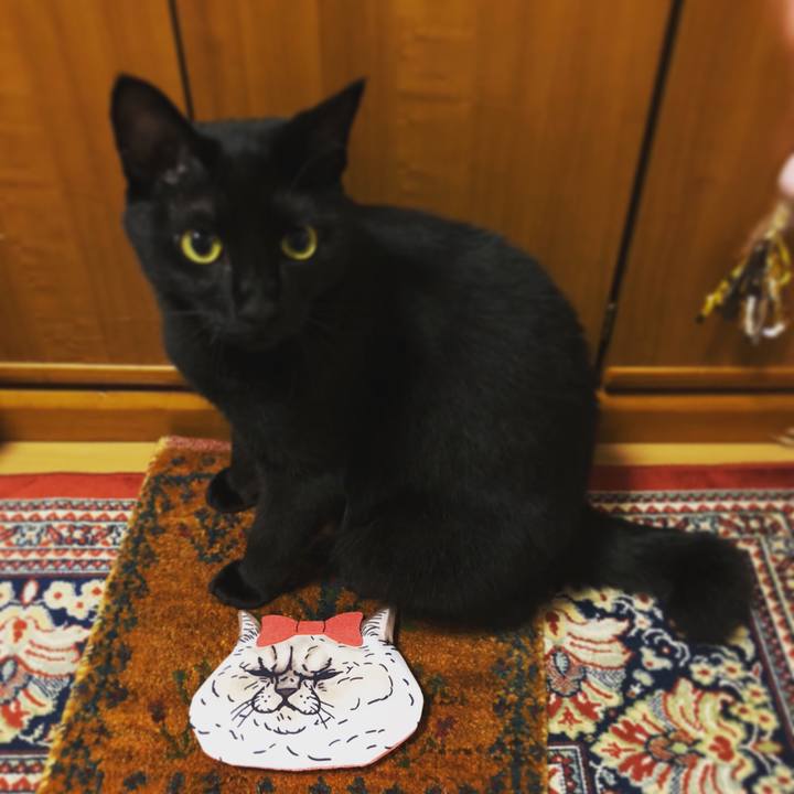 F1b82e7a 3724 4c1b bc1e c1f73dfc4379 1531935847005