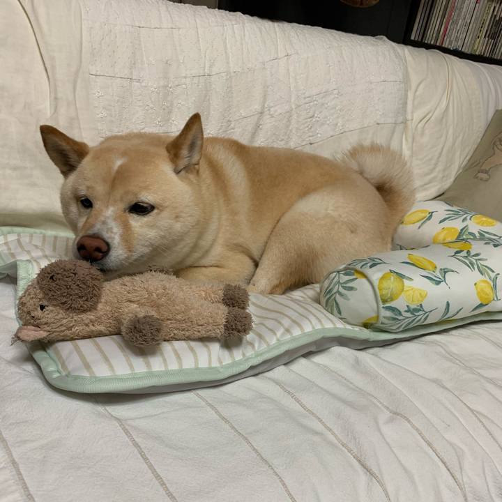 F1b8400a 436c 4c4e 819f 036693442663 1622634635620