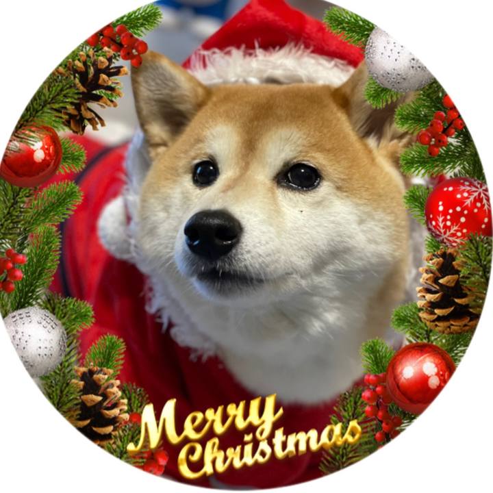 F1b852c0 b60d 443e 8e98 883df9e47b32 1608816358535