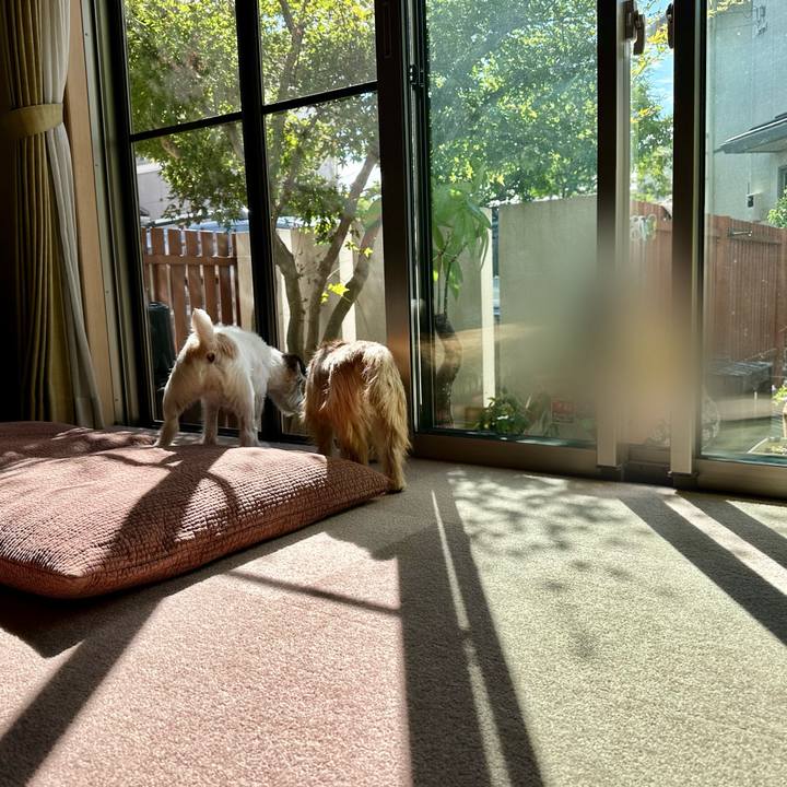 F1b89383 20b0 42fe ad86 dba69b55039d 1729433167094