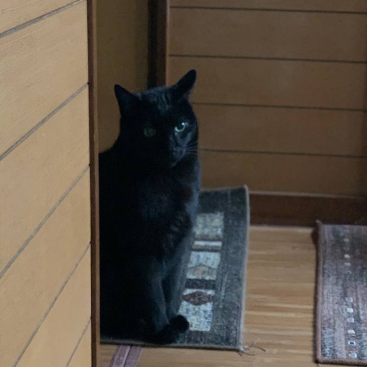 F1b89540 d114 489a 9487 e362a719965a 1586740965079