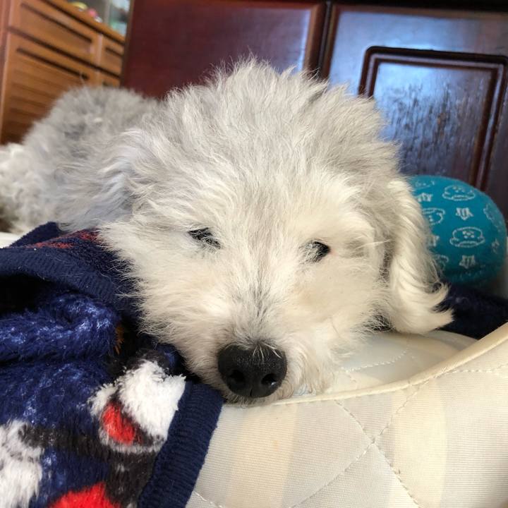 F1b89b90 d4a8 4cbb 805a ef479b7a7476 1656548037370