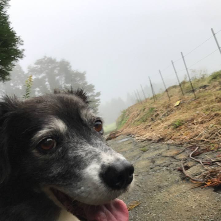 F1b8c180 8af2 4de1 afa1 0c0f95986586 1538999361931