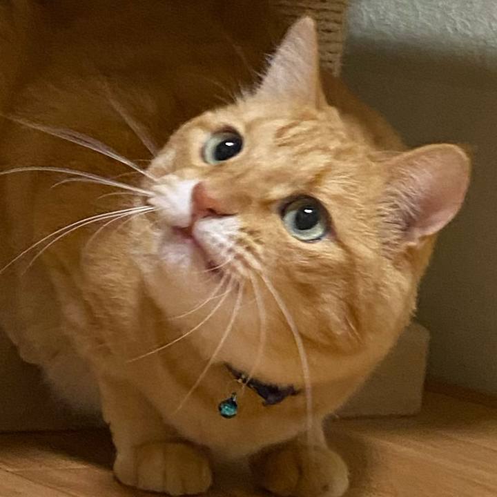 F1b8f5ac 87b7 463b 89ba 745794853474 1601131541752