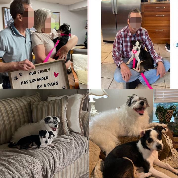 F1b96364 3b4d 403c 982c 9104828d2690 1716847903378