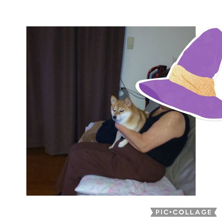 F1ba29a7 8fa1 4753 a4cf c622f988dbfa 1698663518681