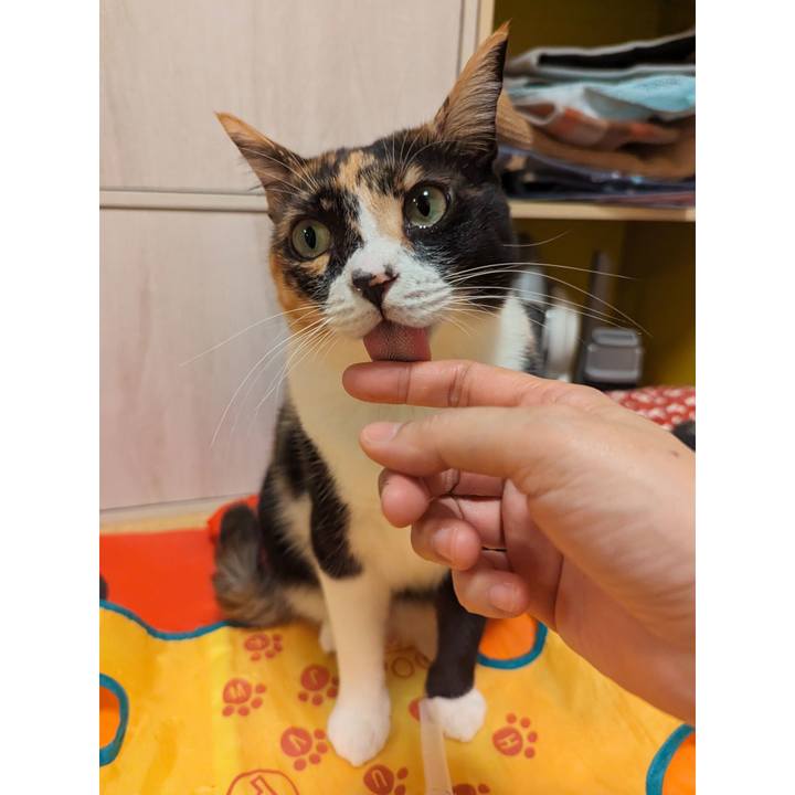 F1ba6e46 6c7f 4023 b3de 67b81f4ad0b5 1702712250428