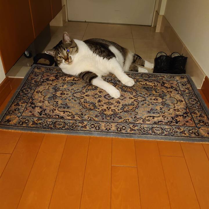 F1ba7d97 9cff 41f9 80e1 7c7b42e7ee69 1594682144145