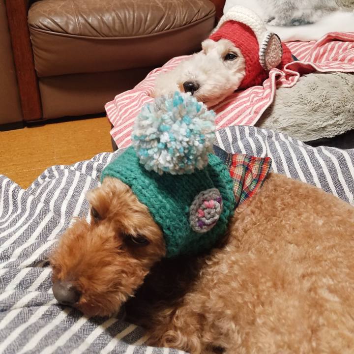 F1ba8133 c2ac 40af b5cc 723f4f567516 1571575596067