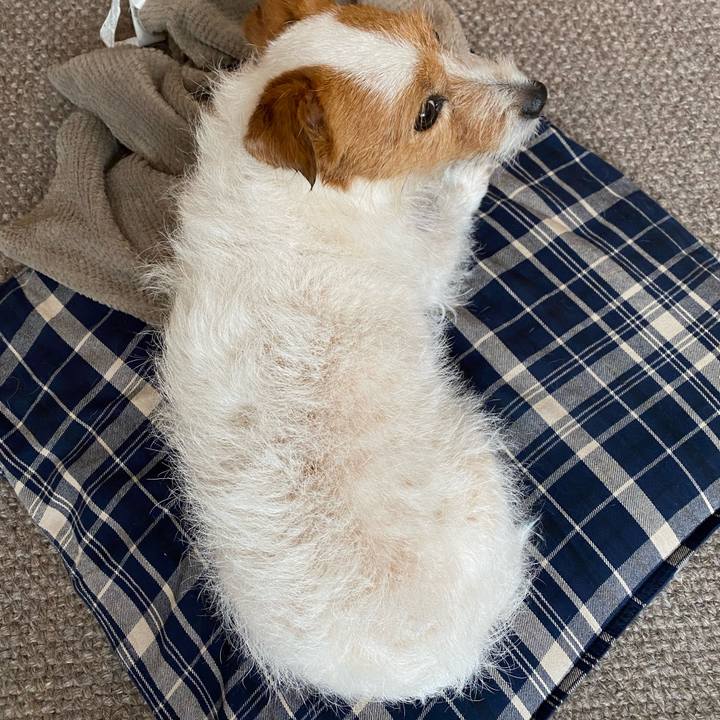 F1ba92fb 9026 4c2c b379 a905ae989f53 1647830190573