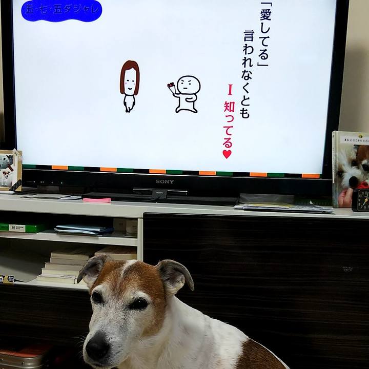 F1ba98fc e7ea 430f 810a b8e01e5372a5 1550009089909