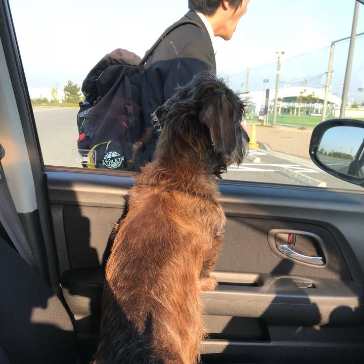 F1baa134 11ea 4b16 a20d a370c944d609 1524865541054