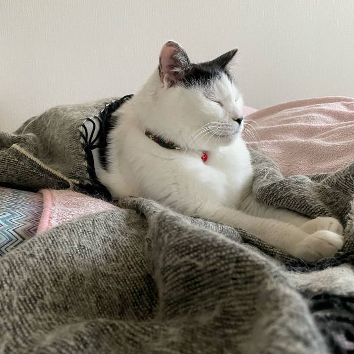 F1bafcbf 3e9f 4e0c bbe6 ae42b13c2c54 1637710906606