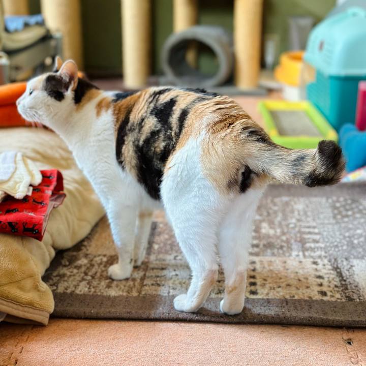 F1baff94 903b 4601 a3c0 30d83a4f784e 1718586197113