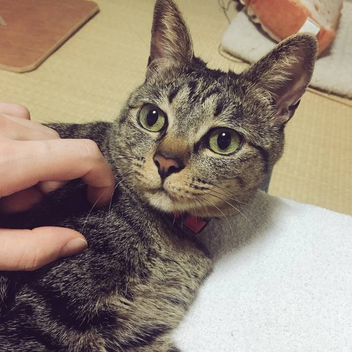 F1bb176f 4bc5 46aa a631 0b64fee0336b 1525221014015