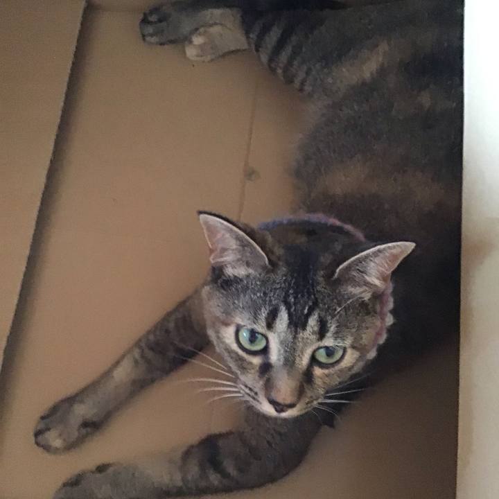 F1bb58bf 040c 4911 bb58 a7b6cfc766fd 1626759579771