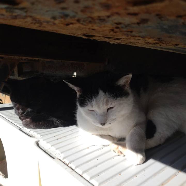 F1bb7557 affb 4e7d a3c2 6fc2f362bc96 1733109759259