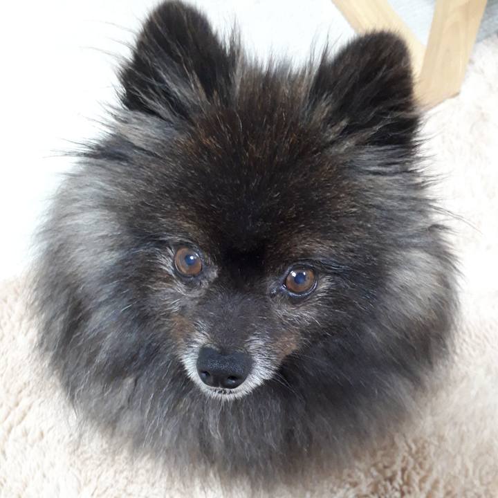 F1bb8429 13c8 4ad7 bae4 157194fba923 1519120111227