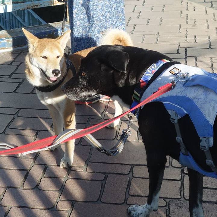 F1bbe6dc ed55 480b bc58 8fd8f054b645 1693525614982