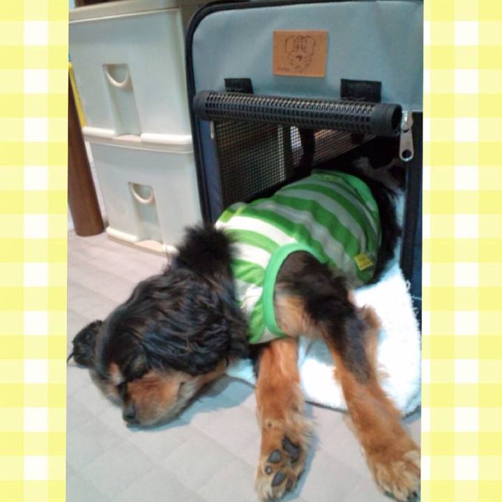 F1bc058d 6333 4ad3 acae 7ac105ccc13f 1564928389598