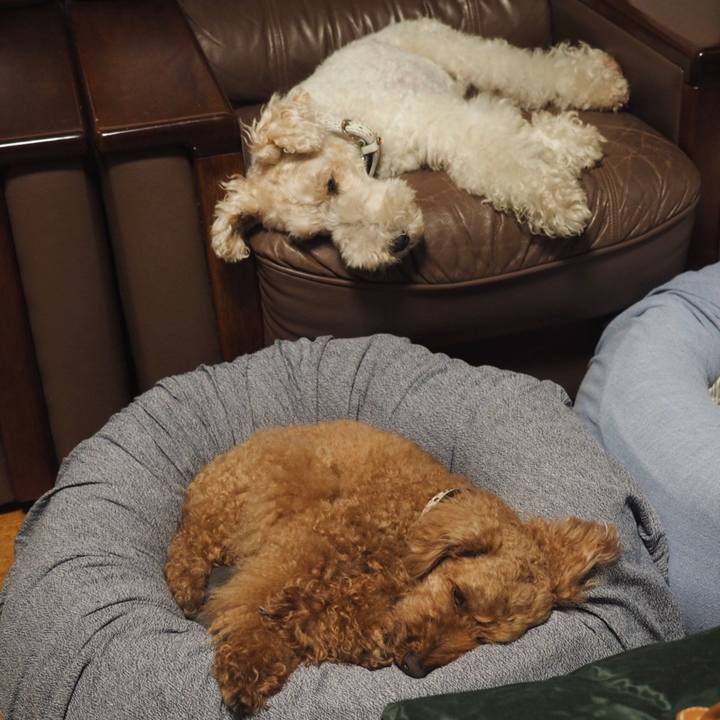 F1bc0d36 bf1d 4cd1 a805 338026556d12 1560790746990