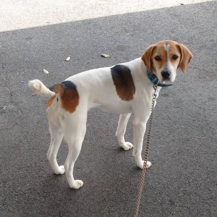 F1bc43b9 8ad4 4dd7 a005 3bbff0ebb0c8 1617090511022