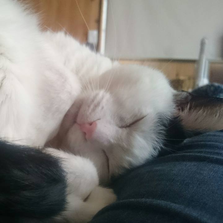 F1bc4e1b f864 4776 93a1 bccafcb95af0 1521280605926