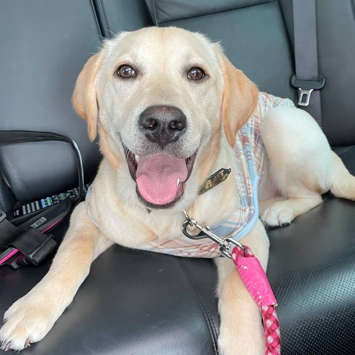 F1bc5cb9 f301 4d58 8864 ef8cebb23a2e 1622281395163