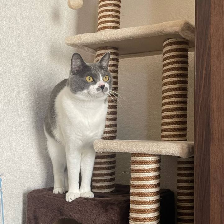 F1bc676f 9794 4005 9690 ffb76bc764d8 1675146310468