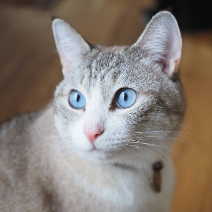 F1bc97f8 234b 4dff b141 c51ef46e76d3 1608618009848