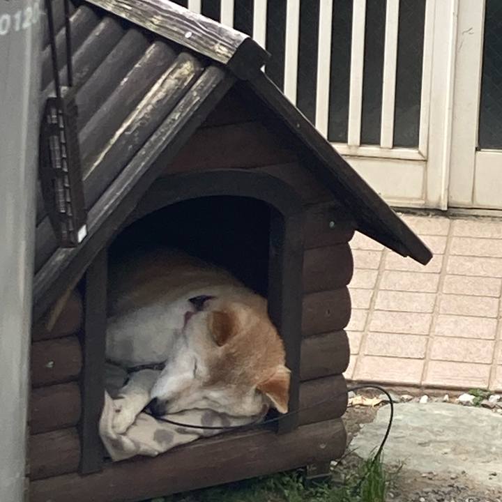 F1bca6be 6502 4223 bdc2 89bd5e80102e 1718503553477