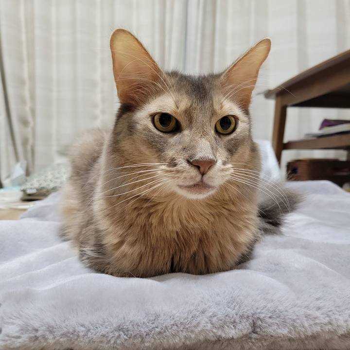 F1bcd244 5362 42c6 903c 970b009f299d 1638971038334