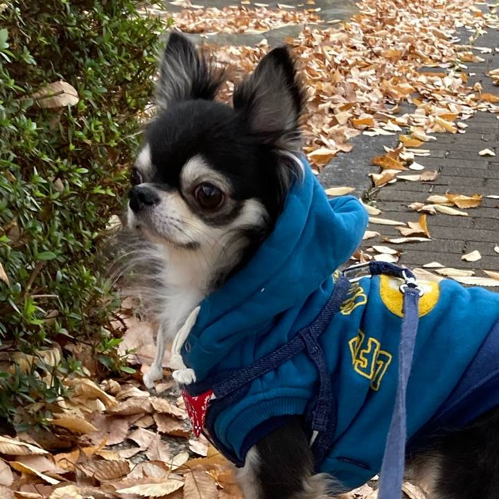 F1bce0cc 0220 470b 827c 8a6543f7b6af 1669474850123