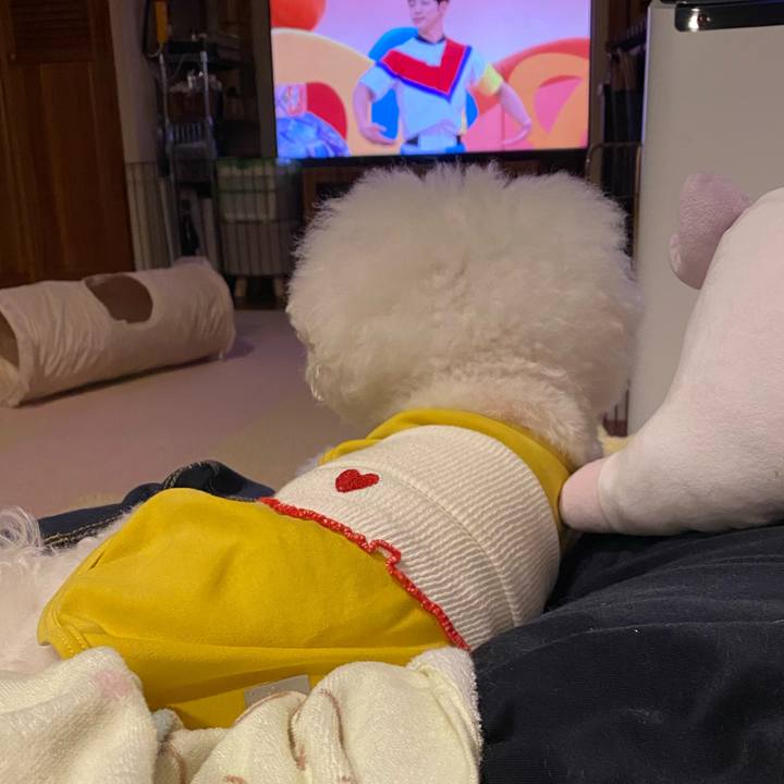 F1bd09ea 6fe9 4c5c 9a69 ddea926f27dc 1741857511354