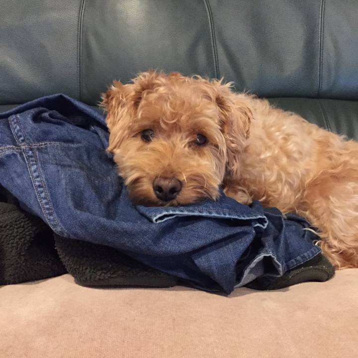 F1bd45e9 5e61 4218 a940 35d362be5f6a 1507676665542