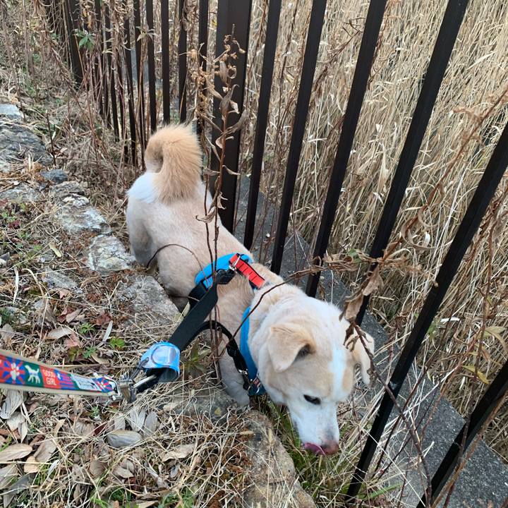 F1bd68df 7d8c 4a99 a1ac 0137f3e0df4b 1644713734259