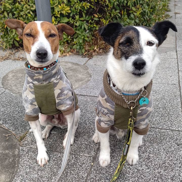 F1bd8834 54a4 482e 8335 8fd4ef9ad918 1675468475976