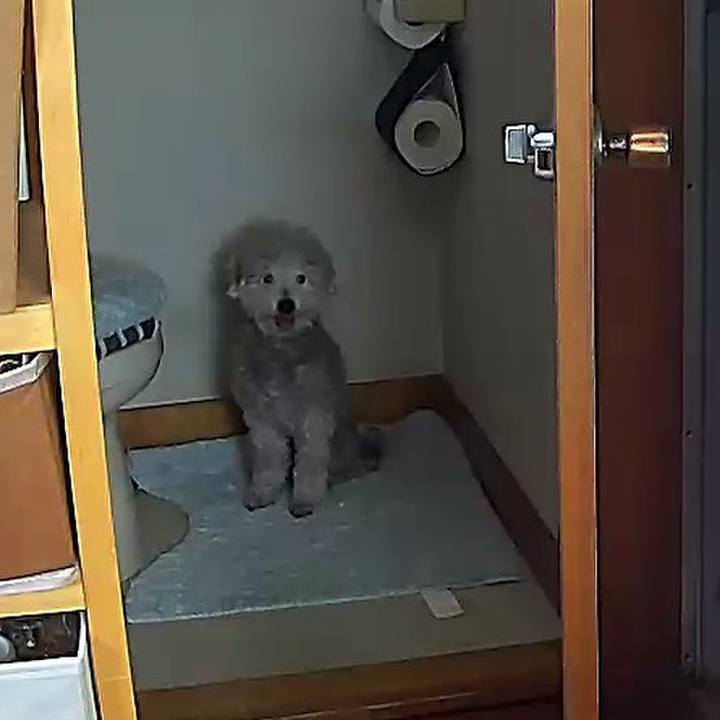 F1bda0d7 1e3e 4cec bd0d 37a3b2937a38 1621839797082