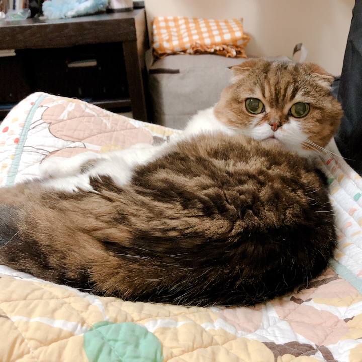 F1bdbf5c 72c8 4424 984c 08835f153baf 1559049870094