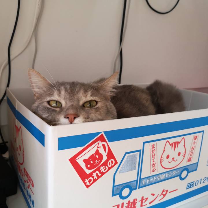 F1bdd43a d04d 4e90 bf23 a7c46317092d 1559706821328