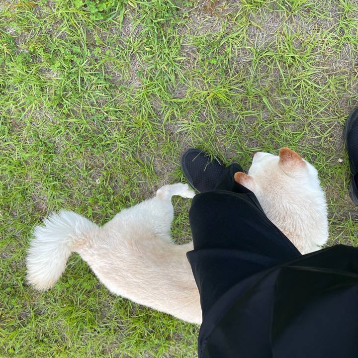 F1bdfb69 022a 4be1 b21a e5e496e717c3 1652008235044