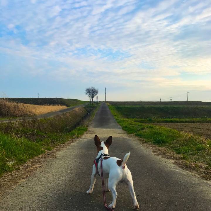 F1bdff10 7b8f 4c7c a31e ca81e660502e 1522149395178