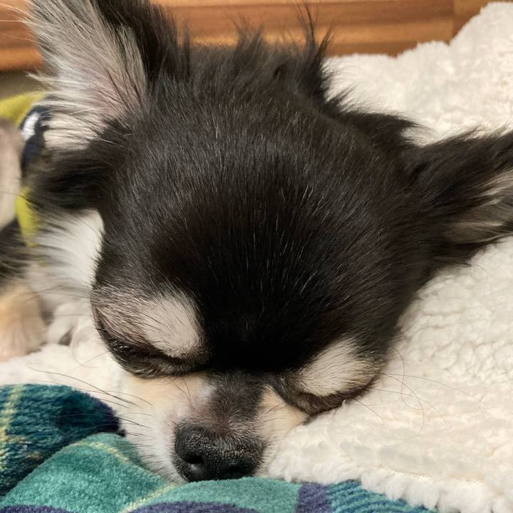 F1be3802 0f30 4ab7 a3b8 154cf0fdcd30 1645623894444