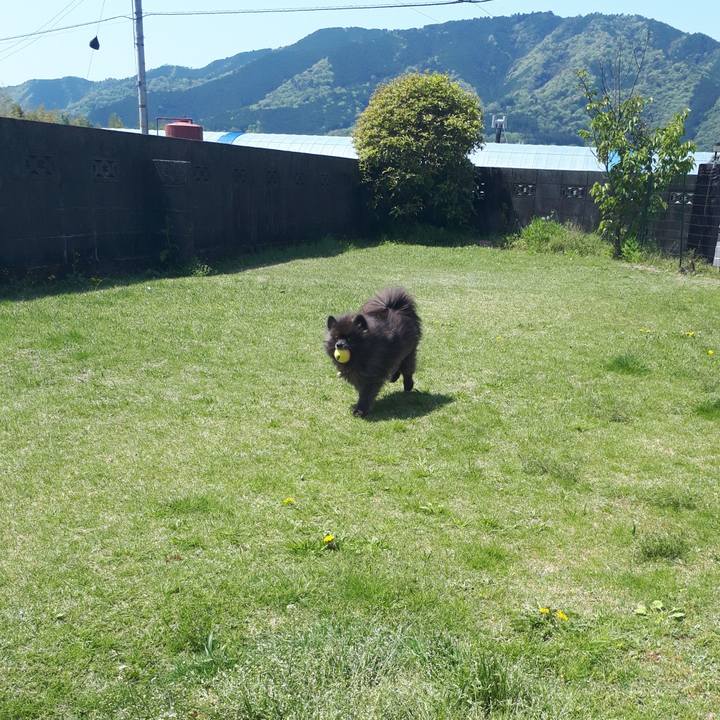 F1be4150 c6c3 4179 977f d63b8066e7df 1523242639719