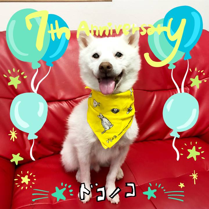 F1be49f2 32f7 42ef 8a6f 1694b9a06dad 1685946060245